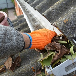 Roof & Gutter Cleaning Sound Residential Solutions LLC. place picture